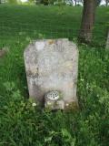 image of grave number 486061